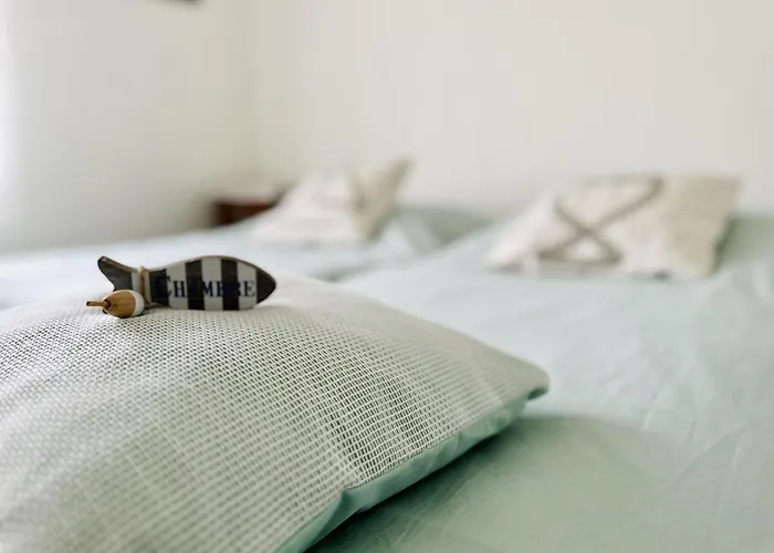 Maison Recente Idealement Situee Aux Sables Dolonne - 4 Pers * Les Sables-dʼOlonne